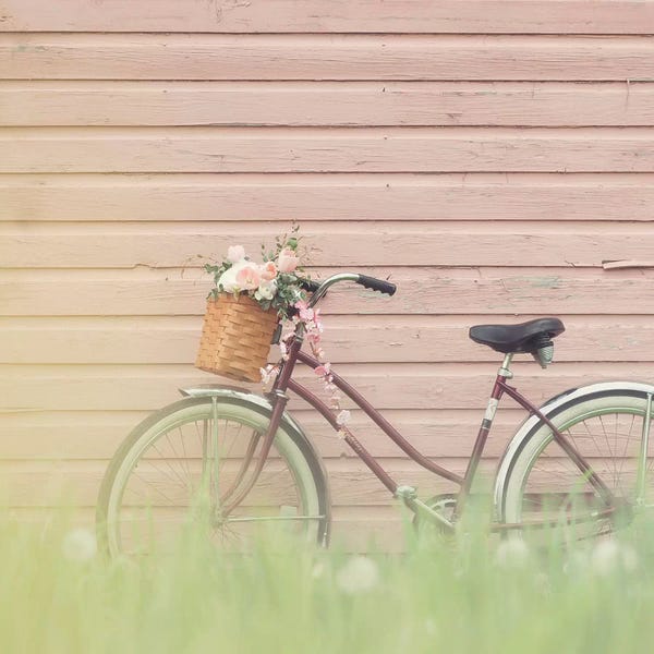 Bicycles: Bike & Pink Wall by Mandy Lynne