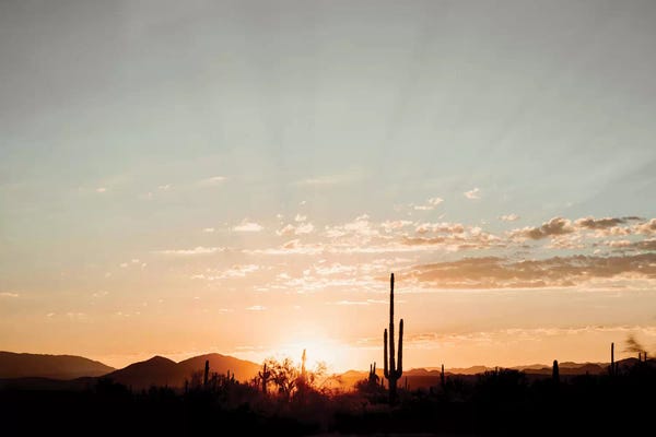 Mandy Lynne: Desert Sunrise by Mandy Lynne