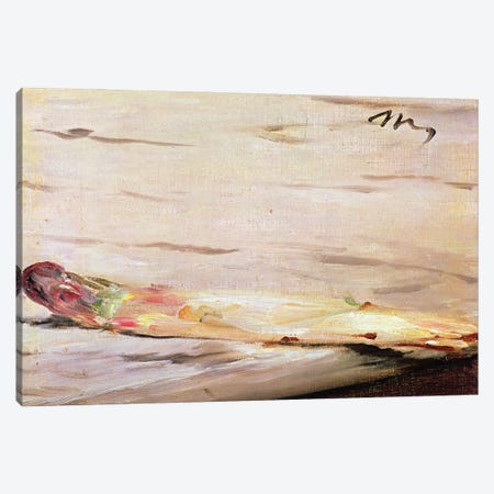 Asparagus, 1880 Canvas Print #MNE58} by Edouard Manet Art Print