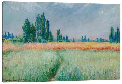 Wheatfield, 1881 Canvas Art Print - Claude Monet