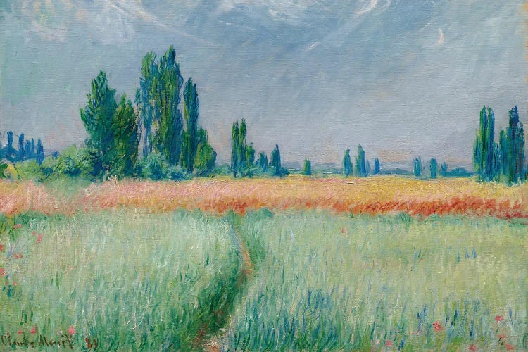 Wheatfield, 1881