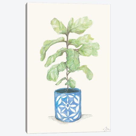 Fiddle Leaf Plant Canvas Print #MNG116} by Jessica Mingo Canvas Art