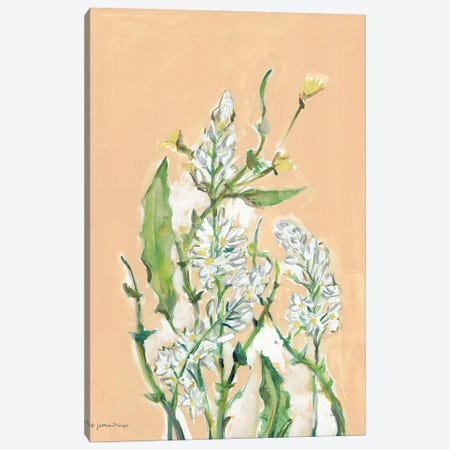 Spring Flora Canvas Print #MNG130} by Jessica Mingo Canvas Art Print