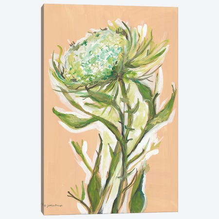 Spring Greens Canvas Print #MNG131} by Jessica Mingo Canvas Print