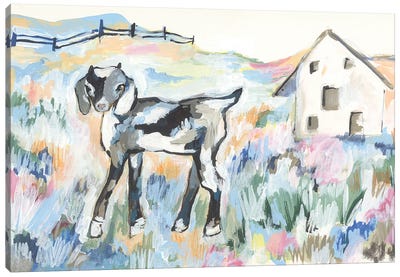 Daisy The Goat Canvas Art Print - Goat Art