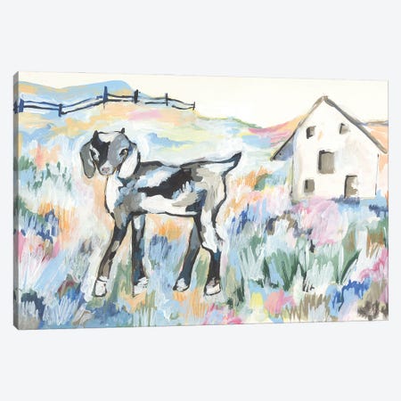 Daisy The Goat Canvas Print #MNG165} by Jessica Mingo Art Print
