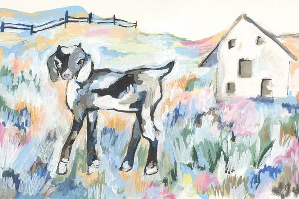 Jessica Mingo: Daisy The Goat by Jessica Mingo