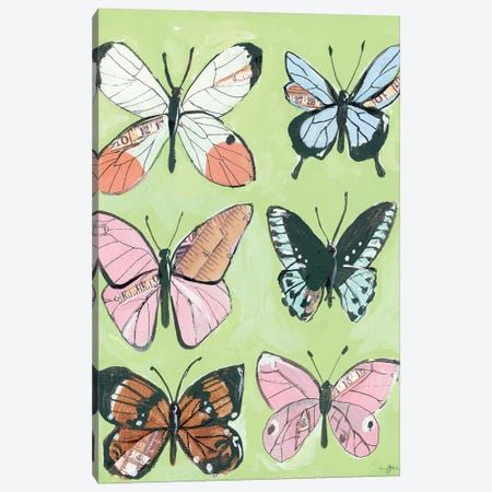Butterfly Beauty Canvas Print #MNG1} by Jessica Mingo Canvas Art Print