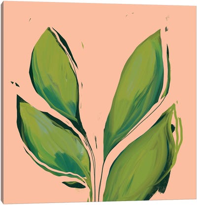 Green Leaves On Peach Background Canvas Art Print - Morgan Harper Nichols