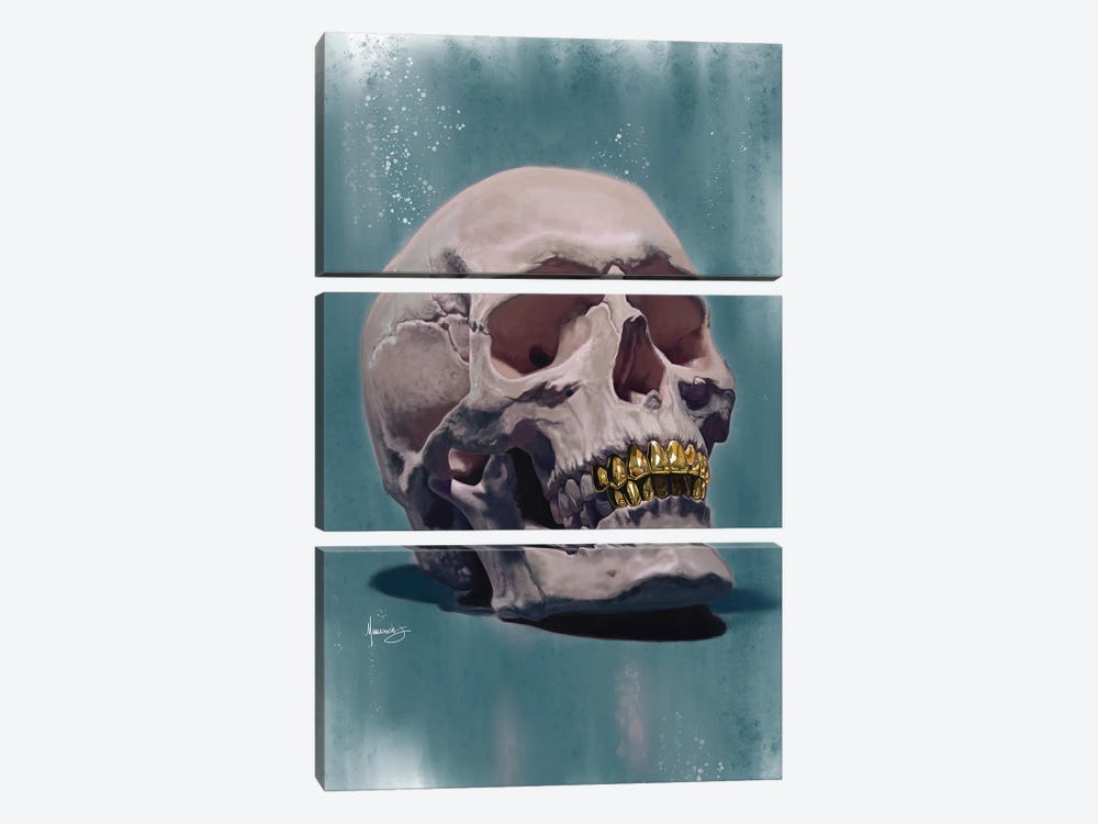 Skull Grill by Manasseh Johnson 3-piece Art Print