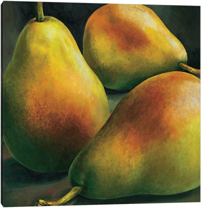 Tre pere Canvas Art Print - Pear Art