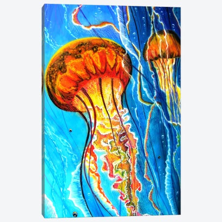 Jellys Canvas Print #MNM19} by Martin Nasim Canvas Art Print