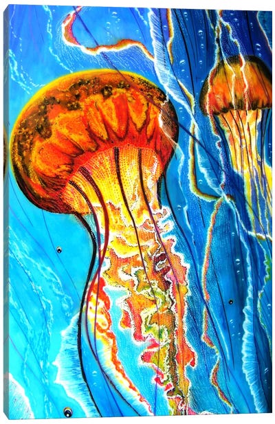 Jellys Canvas Art Print - Martin Nasim