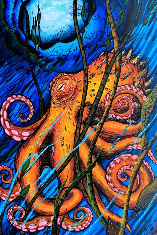 OCTO #2 by Martin Nasim wall art