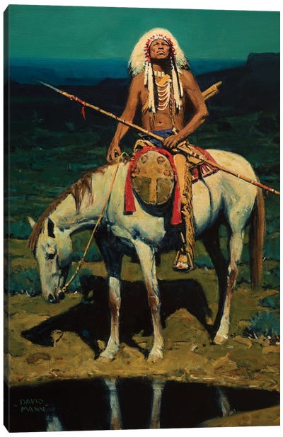 Dakota Moon Canvas Art Print - Native American Décor