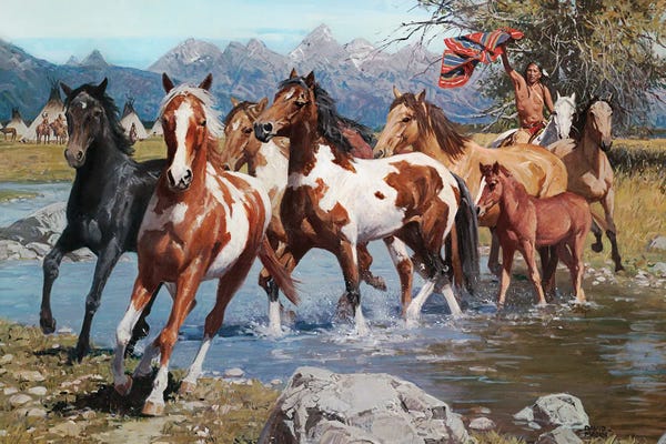 Native American Décor: Native Wealth by David Mann