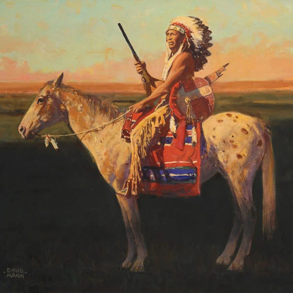 David Mann: Prairie Shadows by David Mann