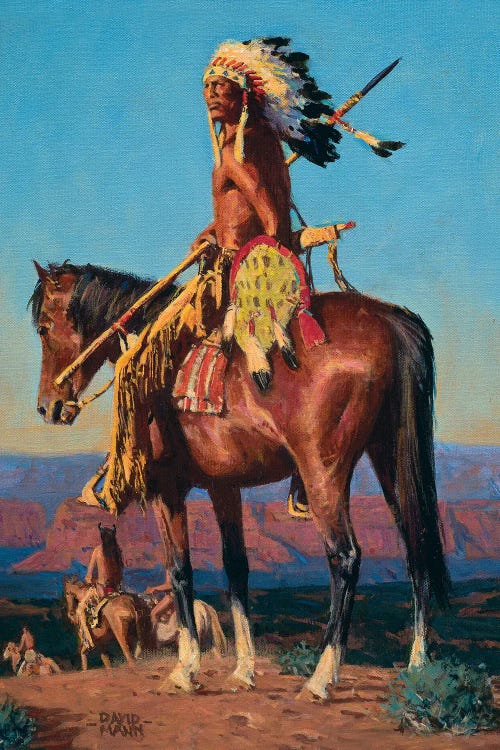 Red Rock Sundown by David Mann wall art