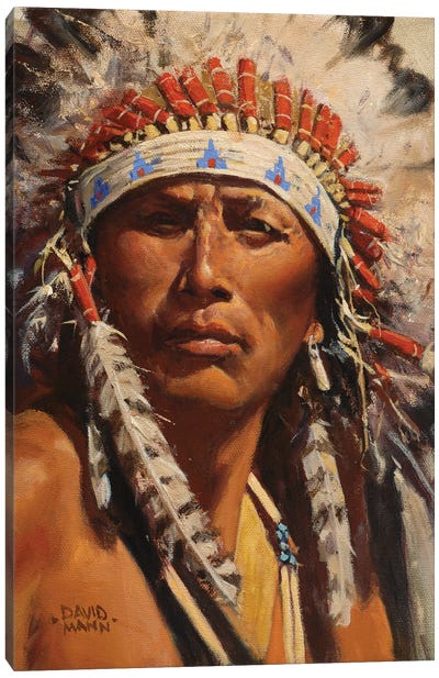 American Spirit Canvas Art Print - North American Culture