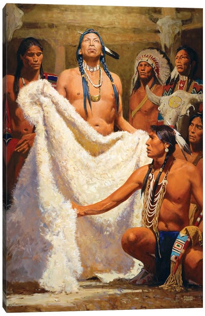 White Buffalo Robe Ii Canvas Art Print - Native American Décor