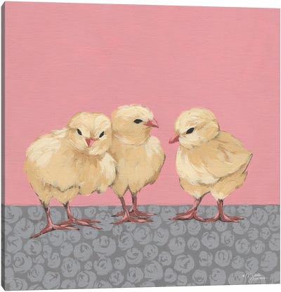 Sweet Pea Trio Canvas Art Print - Michele Norman