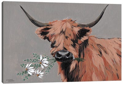 Daisy Mae Canvas Art Print - Highland Cow Art