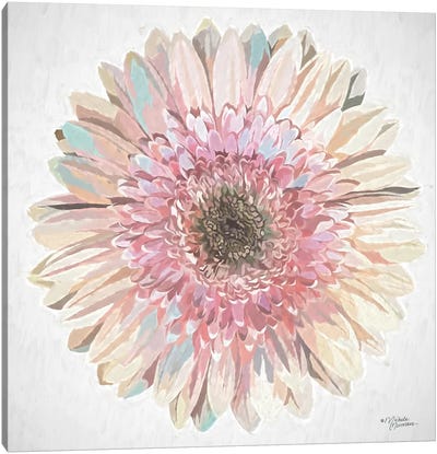 Gorgeous Gerbera Canvas Art Print - Daisy Art
