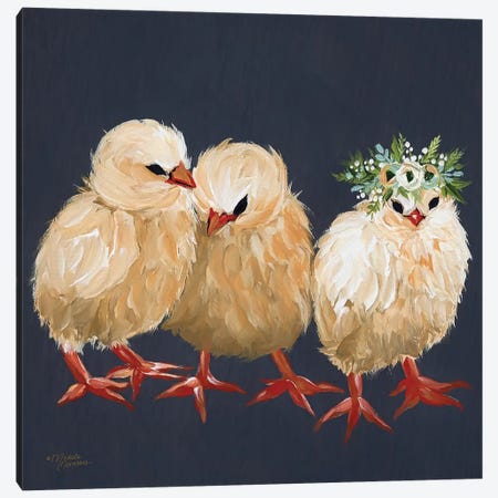 Chick Trio Canvas Print #MNO8} by Michele Norman Art Print