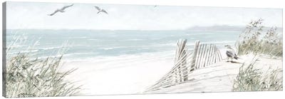 Coastal Dunes II Canvas Art Print - Beach Art