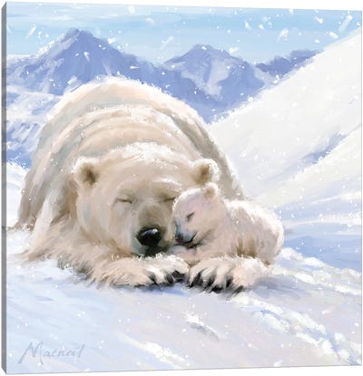 Bearcub Square Canvas Art Print - Polar Bear Art