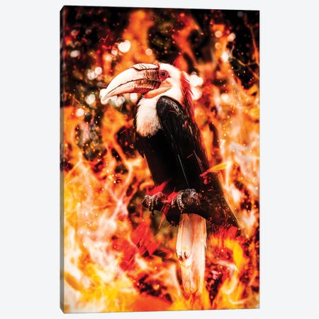 Fire Toucan Canvas Print #MNU22} by Manuel Luces Canvas Art