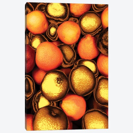 Golden Oranges Canvas Print #MNU36} by Manuel Luces Canvas Art