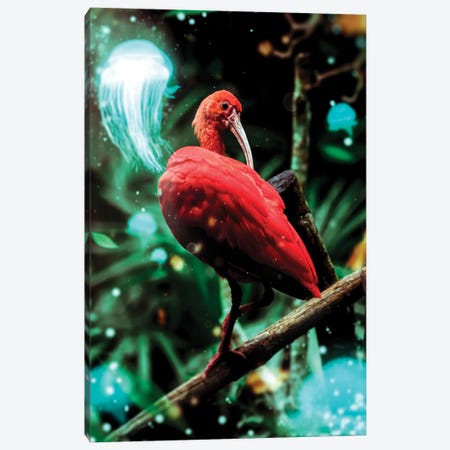 Bird Canvas Print #MNU3} by Manuel Luces Canvas Art