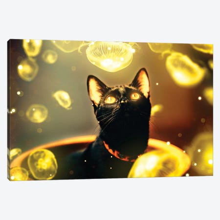 Black Cat With Jellyfish Canvas Print #MNU4} by Manuel Luces Canvas Art Print