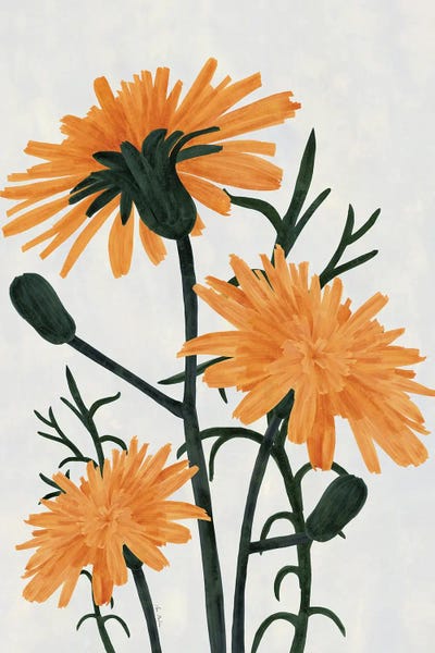 Wildflowers: Wildflowers by Ana Martínez