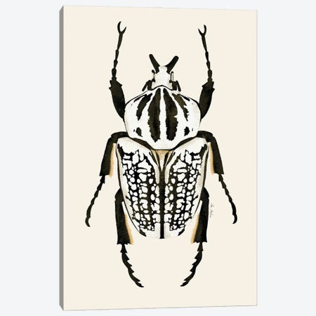Goliath Beetle Canvas Print #MNZ11} by Ana Martínez Canvas Art