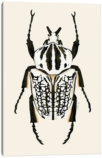 Goliath Beetle Canvas Art Print - Ana Martínez