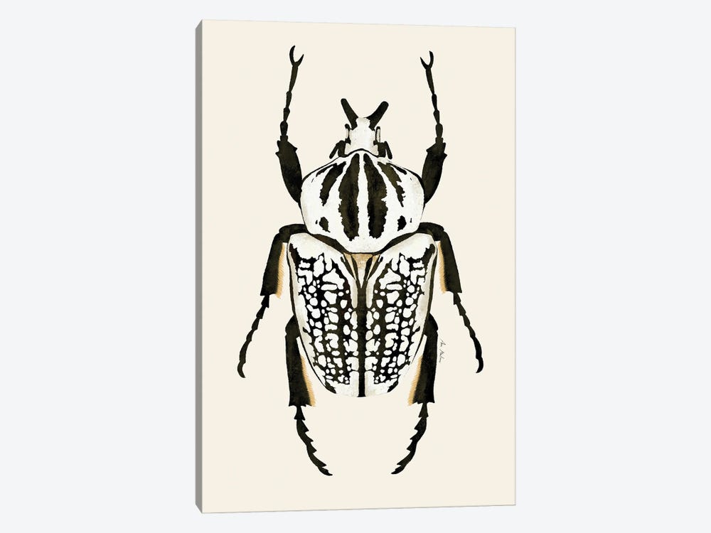 Goliath Beetle by Ana Martínez 1-piece Art Print