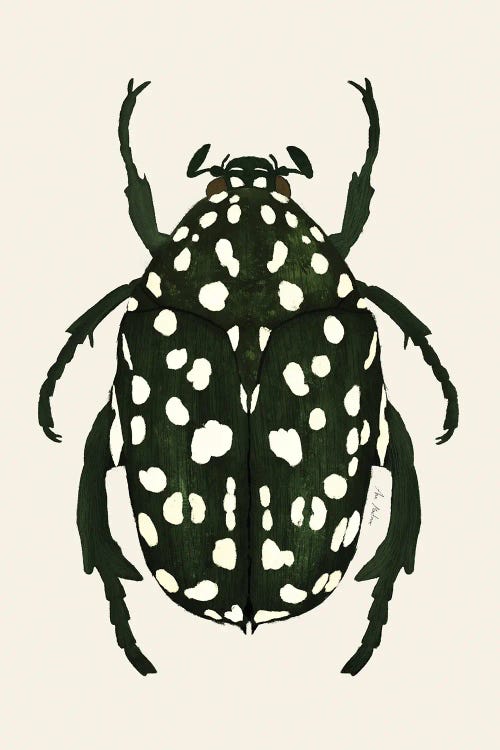 Green Beetle