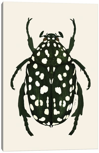 Green Beetle Canvas Art Print - Ana Martínez
