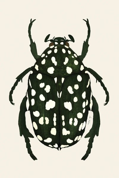 Beetles: Green Beetle by Ana Martínez