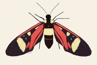 Red Butterfly by Ana Martínez art print