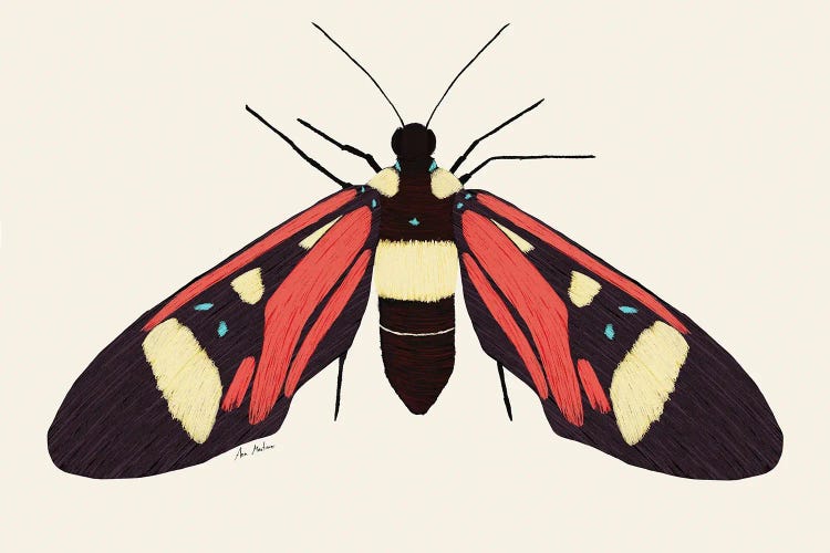 Red Butterfly