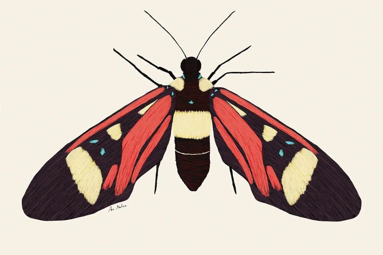 Red Butterfly