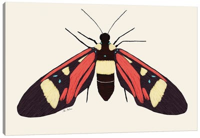 Red Butterfly Canvas Art Print - Ana Martínez