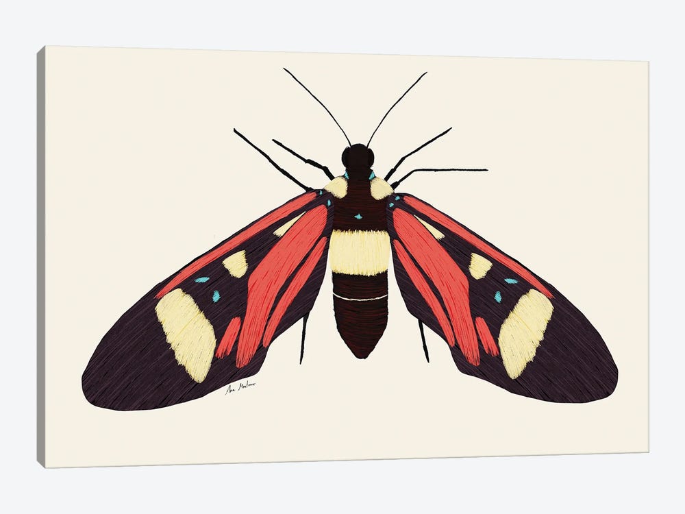 Red Butterfly by Ana Martínez 1-piece Canvas Art Print