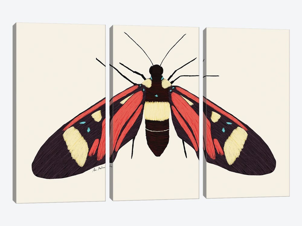 Red Butterfly by Ana Martínez 3-piece Canvas Art Print