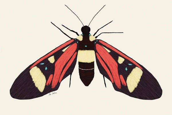 Ana Martínez: Red Butterfly by Ana Martínez