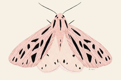 Pink Butterfly by Ana Martínez canvas print