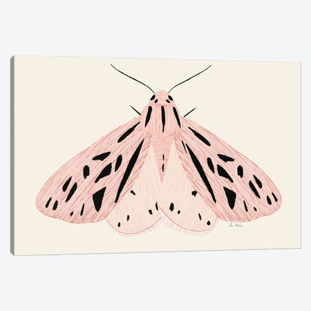 Pink Butterfly Canvas Print #MNZ14} by Ana Martínez Canvas Print
